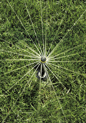 a rotary sprinkler viewed in action